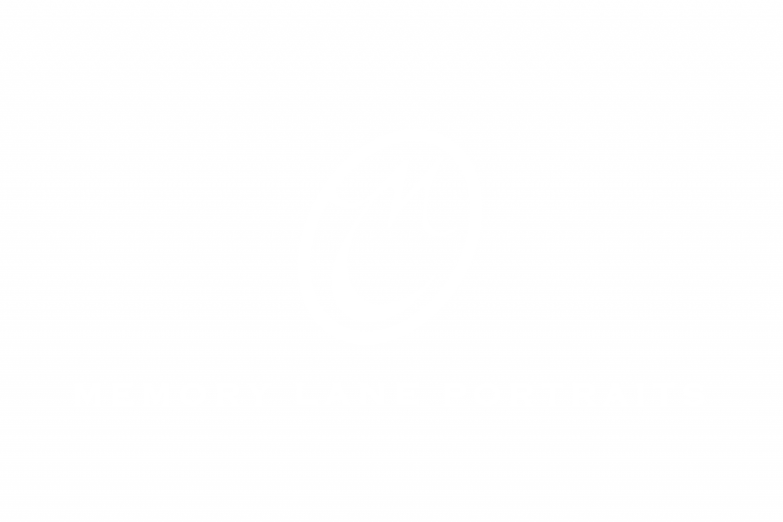 Memory Lane Portraits
